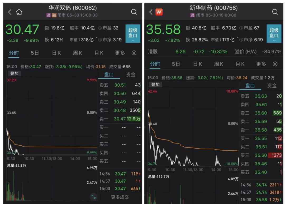 新能源股票最新動(dòng)態(tài)及家庭小趣事概覽
