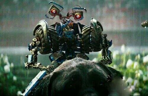 變形金剛最新女主,領略未來科技魅力的閃耀之光