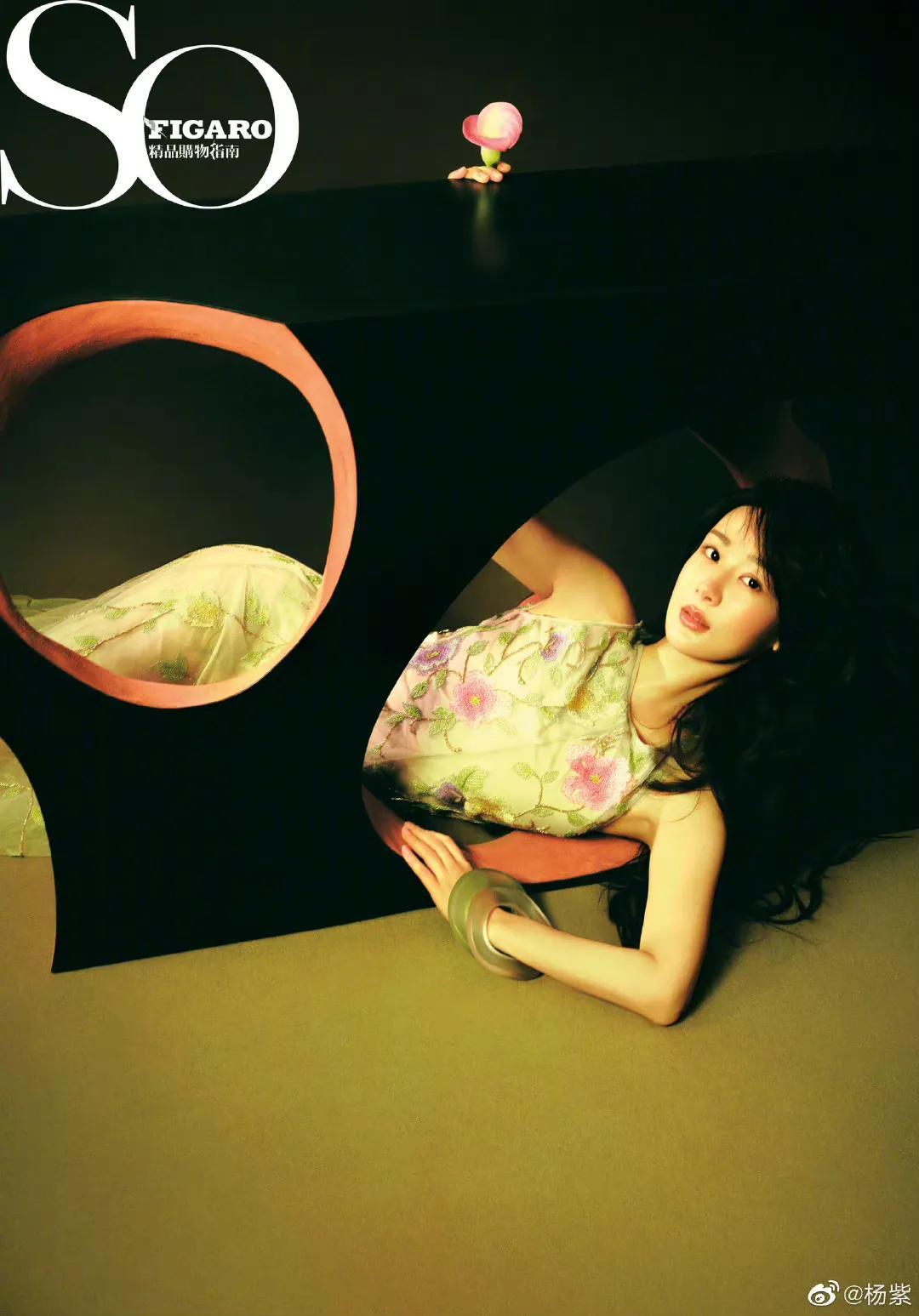 楊紫最新雜志購買指南,啟程尋找自然美景的旅行之旅