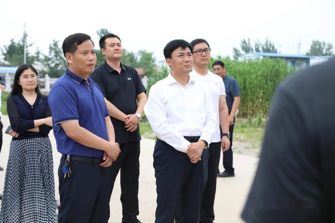 王力軍最新情況全面指南,最新動態與深度解析