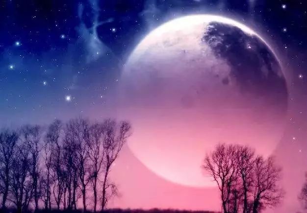 八月夜最新,夜的魅力與獨特風情展現