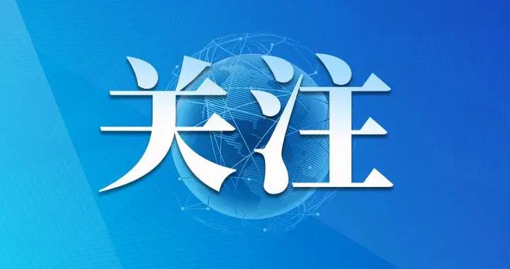 官方最新消息發布,最新官網動態論述