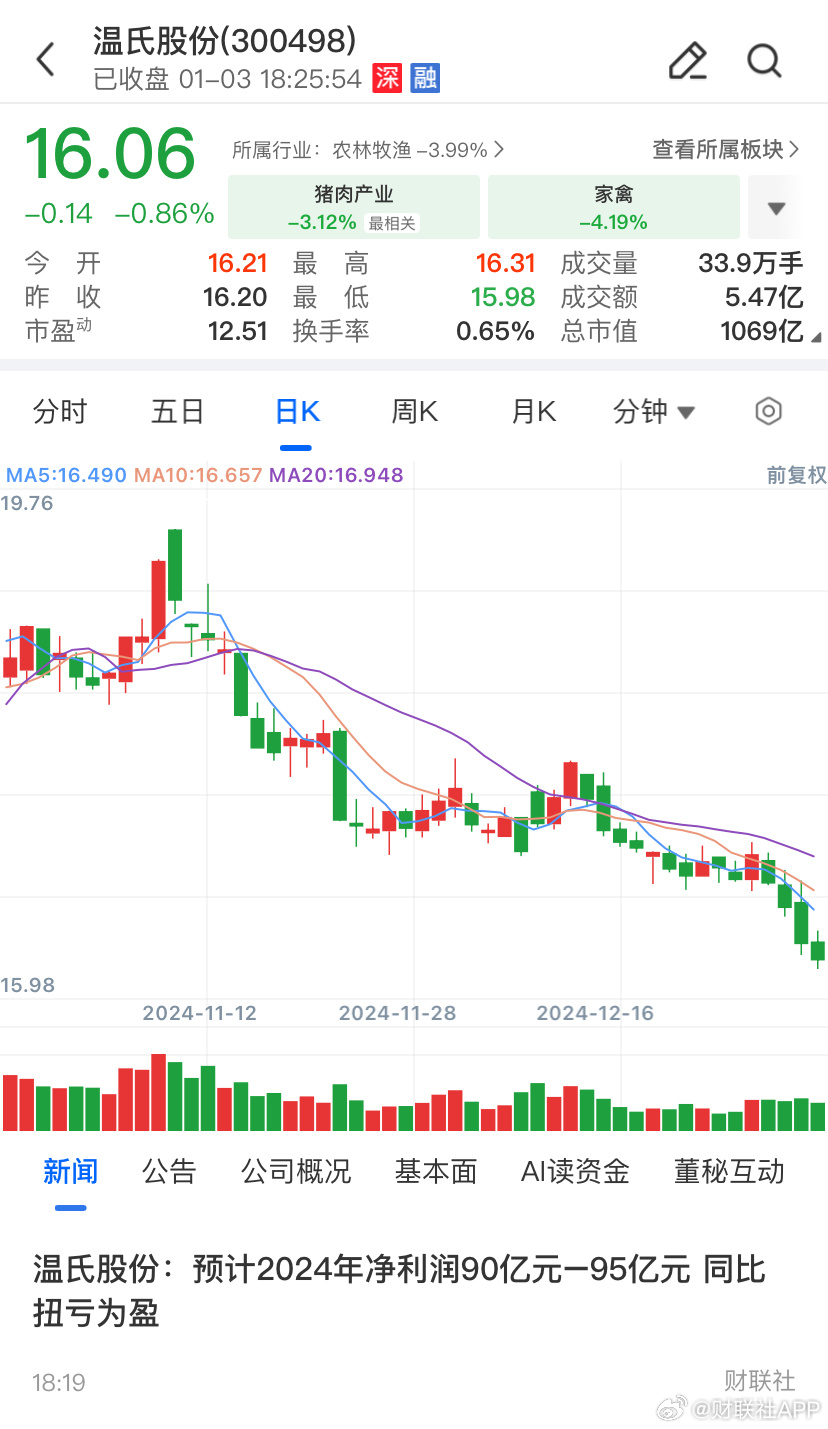 溫氏企業最新概況詳解，入門指南與進階教程