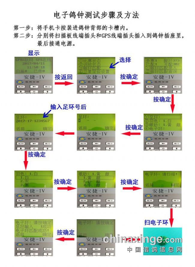 二手鴿鐘,自然美景的探索之旅新篇章