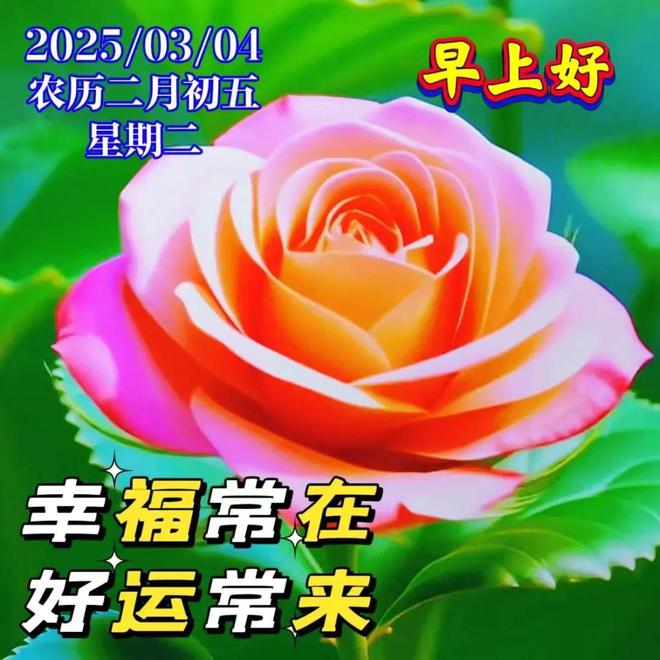 二月五日科技新品亮相,未來生活體驗革新,科技魅力觸手可及