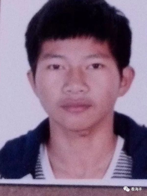 城市發展與民生改善的最新動態,市民生活的脈搏與步伐更新