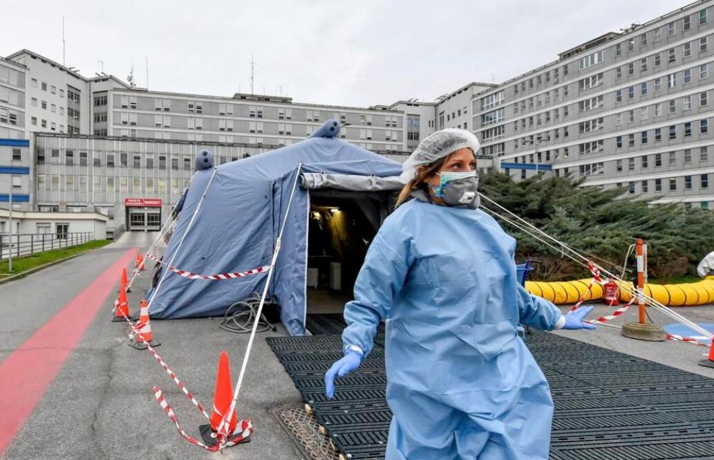 德國疫情最新動態及自然療愈之旅概述